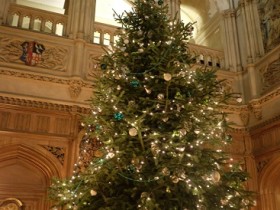 Weihnachtsbaum